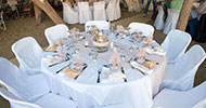 Wedding table decorated with pale colors and olive detail
